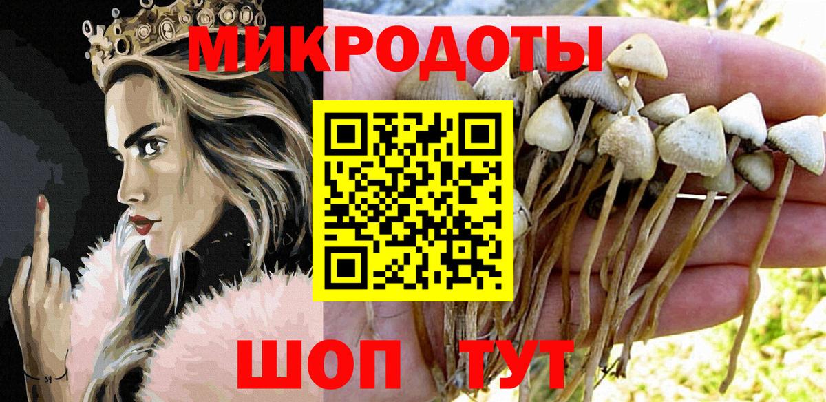 Галлюциногенные грибы Cubensis Родники