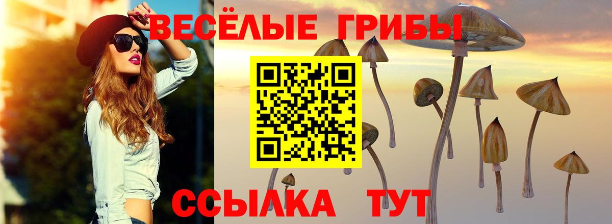 Родники  Галлюциногенные грибы ЛСД  Вход с VPN 